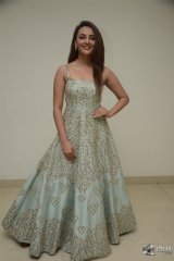 Seerat Kapoor New Photos